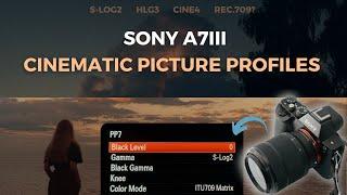 Best Sony A7iii Picture Profiles for Filmmaking?