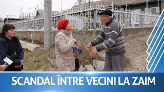 Doi vecini din Zaim nu încap în sat Vezi ce scandal s-a iscat între ei