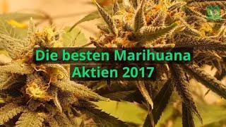 Die besten Marihuana Aktien 2017