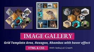 Image Gallery in HTML & CSS | Grid Template Area, Hexagon & Rhombus with Hover Effects