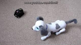 Anki Vector and Zoomer Playful Pup