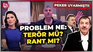 Sedat Peker Esenyurt'un AKP'li başkanlarını hedef almıştı! O iddiaları Ece Üner Halk TV'de açıkladı!