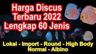 HARGA IKAN DISCUS 2022 LENGKAP 60 JENIS , HARGA PASAR IKAN DISCUS , LOKAL & IMPORT , ALBINO , HB