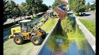 Big Silage Smržice 2020 - Silage depot 60km away - Překladiště. UMC Metal Cover