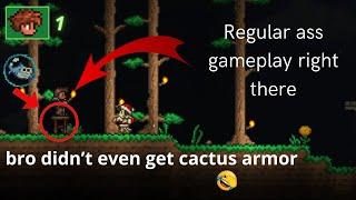 chill terraria calamity playthrough to fall asleep to | 1