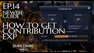 Black Desert mobile : How To Get Contribution points to hire workers