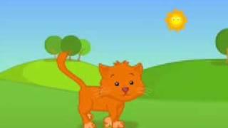 Sunny the Cat | English Songs for Kids and Babies | Helen Doron English