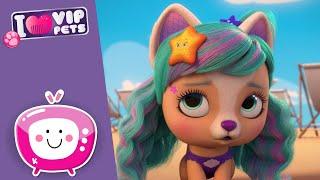 STELLA VE YILDIZ  VIP PETS  Yeni Dizi  Yeni Bölüm  Türkçe Çizgi Film