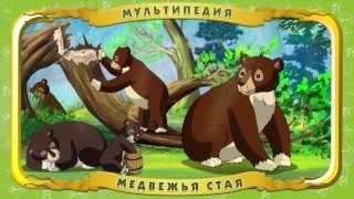 Мультипедия животных. Медведь (Уроки тётушки Совы)