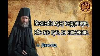 Возлюби муку сердечную, ибо это путь ко спасению. Иеромонах Диомид ️