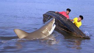 Great White Shark Attacks Fishing Boat – A Terrifying Short Film
