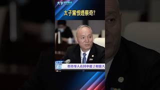 太子黨討伐習近平錯誤，蔡奇要背鍋？｜大宇拍案驚奇 #蔡奇 #習近平