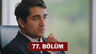 Зимородок 76 Серия | НОВЫЙ СЕЗОН