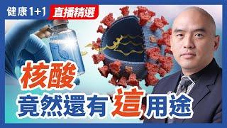 核酸竟然還有這用途 | （2022.11.14）健康1+1 · 直播精選