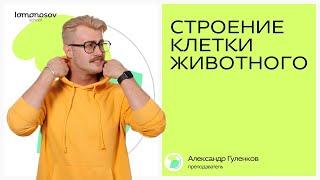 Строение КЛЕТКИ ЖИВОТНОГО для ЕГЭ по биологии