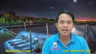 Vlog Nuôi Tôm: Kinh Nghiệm Sử Dụng Chế Phẩm Sinh Học EM Trong Nuôi Tôm Cá - Dũng cá TV