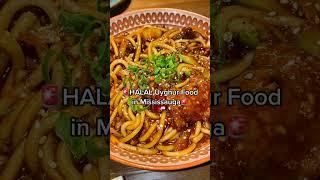 HALAL Uyghur Food in Mississauga | Ta'am Cuisine #toronto #halal #halalornothing #uyghur