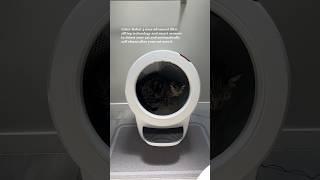 Set up my cat’s automatic litter box with me | Litter Robot 4