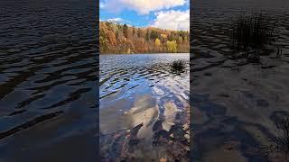 #timeflow