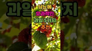 맛있는 과일로 건강지키기.