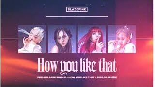 BLACKPINK - 당신이 그것을 좋아하는 방법 ( How You Like That ) Official MV