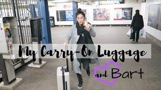 Best Carry-On Luggage  |  Flight Attendant Life  |  VLOG 8