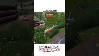 Как он понял в Oh Deer #bstnoff #beston #bestonchannel #ohdeer #угар #монтаж #юмор