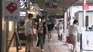 Some visitors back at Japan's tourist destinations