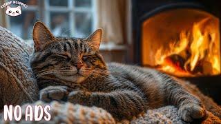Music Sleep For Cat  Anxiety Relief Music For Cats And Soothe Your Cat With Our Relaxation Music 