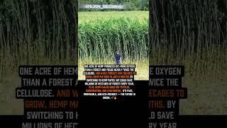 Save Forests, Fuel the Future  #interestingfacts #book_records  #history