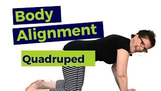 MASTER YOUR BODY ALIGNMENT (WHILE QUADRUPED)