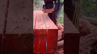 STIHL MS 382 BEST CUTTING CHAINSAW #youtube #shortvideo