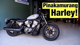 Harley Davidson Nightster | Full Review, Sound Check and First Ride