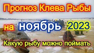 Прогноз Клева Рыбы на НОЯБРЬ Какую рыбу ловят в ноябре Какая рыба клюет в ноябре