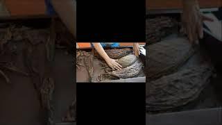 Casa Nicaragua Tobacco Group - Delta Baco