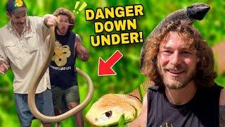 Australian Snake Hunting + INSANE Reptile Tour!