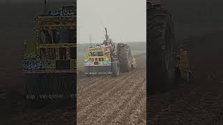 Gandum ki kasht . almadeena agro farm....