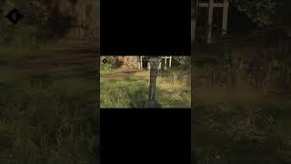 How to do a ferrari dynamite Hunt: Showdown