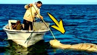 A polar bear was chasing a man in a boat! What happened next is amazing!