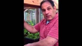 Tipping Aquaponics