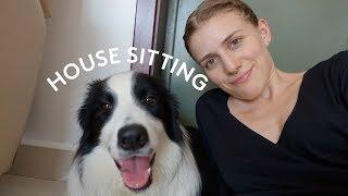 How To Become a House Sitter