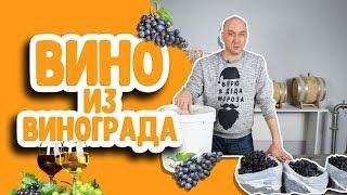 Как сделать домашнее вино из винограда? Простой рецепт вина в домашних условиях!