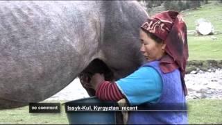 Producing Kumis in the Kyrgyzstan's mountain region