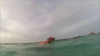 Snorkeling at Arashi Beach Aruba 2016