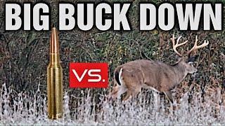 Ultimate Terminal Performance Test: Big Buck Down with New Lehigh Defense 6.5 Creedmoor Ammo