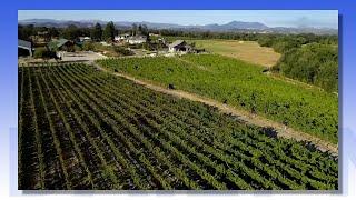 Get Rooted in Sonoma with Bricoleur Vineyards