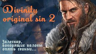 Divinity: Original Sin 2 Залескар, говорящие головы, опять свиньи финал...