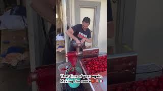 Sauce time The summer tradition of making tomato passata sauce ️ #tomatosauce #passata