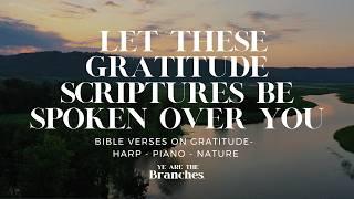 Healing Nature & Harp Sounds w/Scriptures on “Gratitude” spoken aloud #asmr #lofi #jazz #gospel