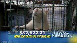 White Coat Waste/FoxNews/Washington Free Beacon: $82K for stuttering mice